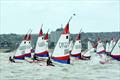 Topper GJW Direct Costal Championship and NS4 at Whistable © Nick Champion / www.championmarinephotography.co.uk