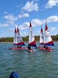 ITCA (GBR) Topper Training at Hamble River SC © Coriolan Rousselle