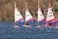 ITCA Rooster Southern Area Topper Traveller 2025 at Spinnaker © Robert Klaschka