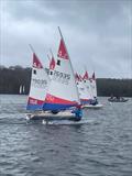 Rooster ITCA Southern Area Travellers at Spinnaker Sailing Club &copy; Sally Wilson