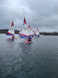 Rooster ITCA Southern Area Travellers at Spinnaker Sailing Club &copy; Sally Wilson