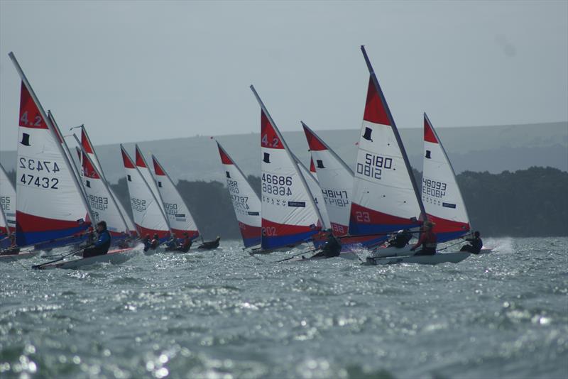 Rooster Southern Toppers Travellers at Poole photo copyright Anthony Randall-May taken at Poole Yacht Club and featuring the Topper 4.2 class