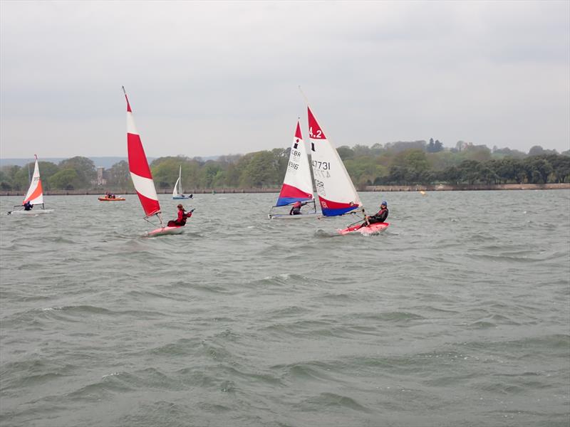 Final junior winter training at Starcross photo copyright Andrew Paley taken at Starcross Yacht Club and featuring the Topper 4.2 class