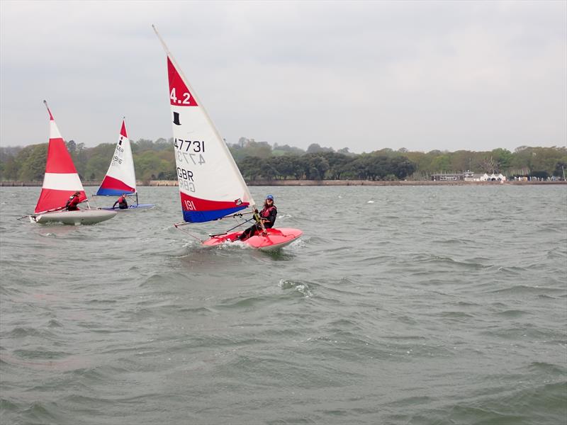 Final junior winter training at Starcross photo copyright Andrew Paley taken at Starcross Yacht Club and featuring the Topper 4.2 class