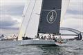 Pallas Capital Gold Cup: Highly Sprung in action © Nic Douglass for @sailorgirlHQ