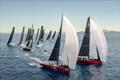 Rolex TP52 World Championship 2026 &copy; Kurt Arrigo / Rolex