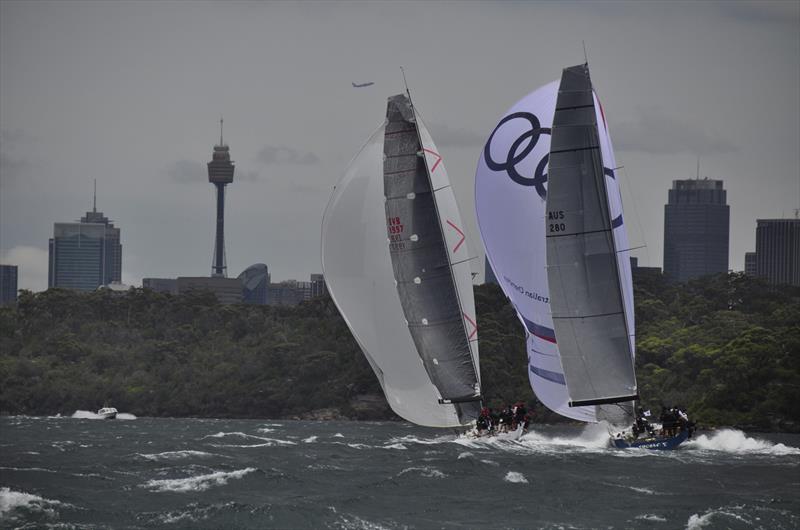 Shogun & Team Beau Gester downwind on day 1 of TP52 Southern Cross Cup round 3 - photo © Bob Fowler