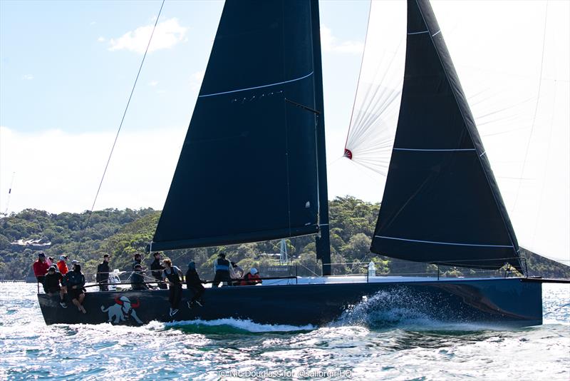 Pallas Capital Gold Cup Act 2 - Matador's momentum continues to build - photo © Nic Douglass for @sailorgirlHQ