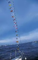 String of International Flags