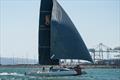 Ullman Sails Long Beach Race Week © Lisa Bronitt