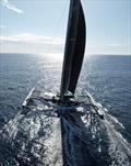 Rex is the defending line honours champion - Brisbane to Hamilton Island Yacht Race © RQYS