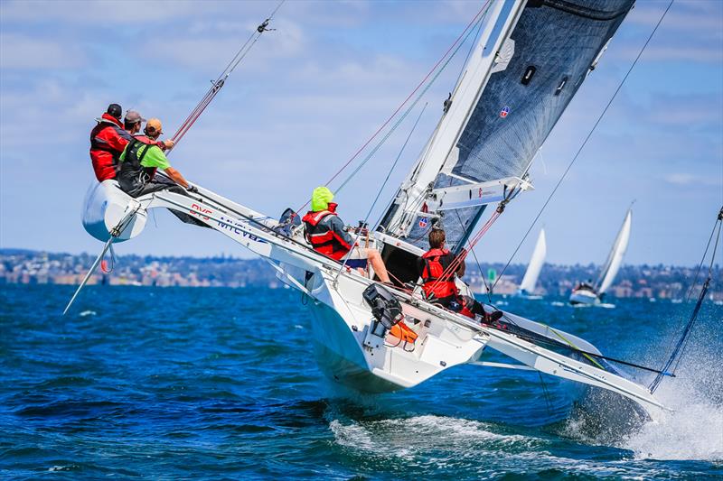 Bare Essentials on Corio Bay - photo © Craig Greenhill / Saltwater Images
