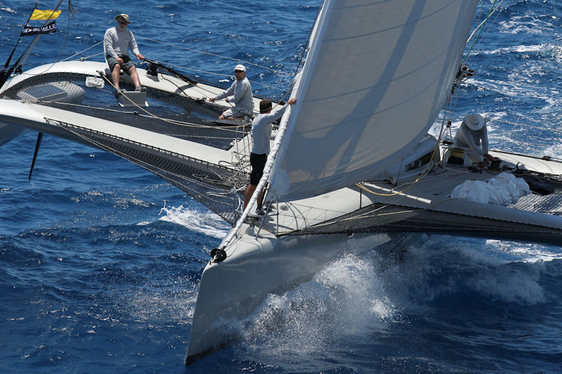 Paradox racing on day 4 of Les Voiles de Saint Barth photo copyright Tim Wright / Les Voiles de Saint Barth taken at Saint Barth Yacht Club and featuring the Trimaran class