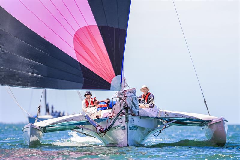 Festival of Sails - Multihull EHC winner Triple Espresso photo copyright Salty Dingo taken at Royal Geelong Yacht Club and featuring the Trimaran class