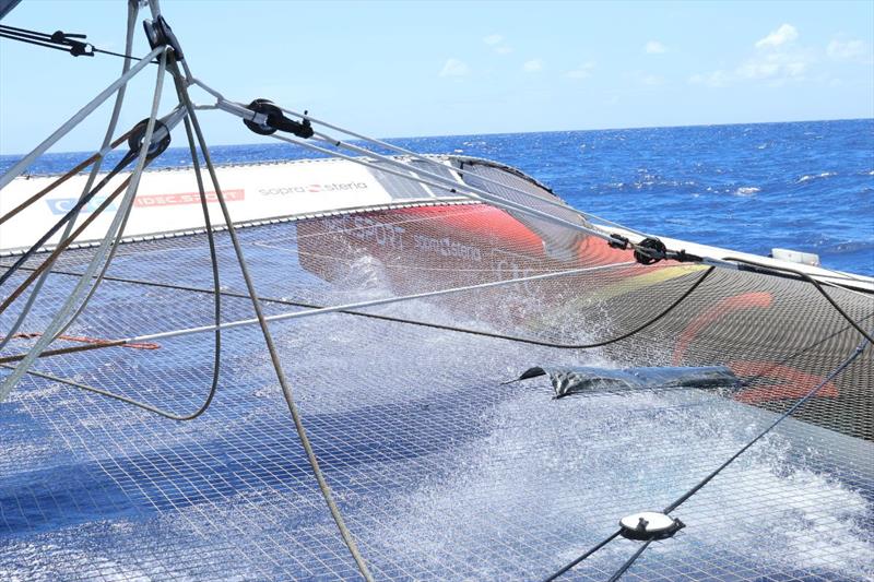 The Famous Project CIC photo copyright The Famous Project CIC taken at  and featuring the Trimaran class