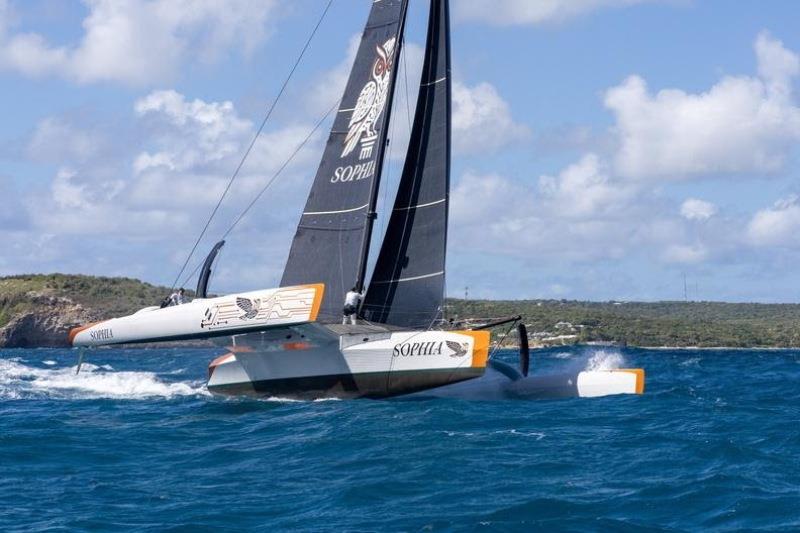 Nigel Irens-designed 63-foot trimaran Sophia photo copyright Tim Wright / Photoaction.com taken at Royal BVI Yacht Club and featuring the Trimaran class
