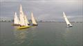Tumlaren and 2019 Cup Regatta racing © Peter Costolloe