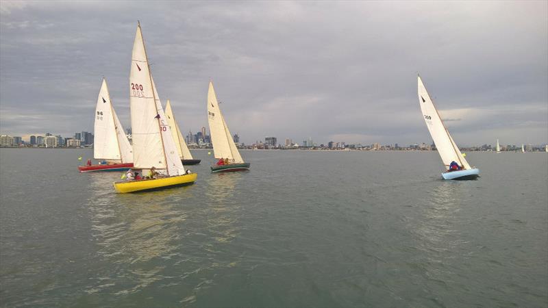 Tumlaren and 2019 Cup Regatta racing photo copyright Peter Costolloe taken at Classic Yacht Association of Australia and featuring the Tumlaren class