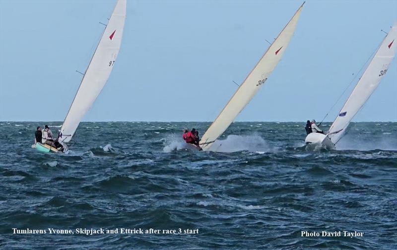 Tumlarens after Race 3 start - 2025 Tumlaren Victorian State Titles photo copyright Dave Taylor taken at Royal Melbourne Yacht Squadron and featuring the Tumlaren class