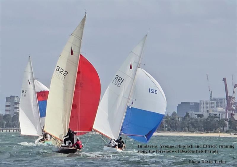 Tumlarens and Beaconsfield Parade - 2025 Tumlaren Victorian State Titles photo copyright Dave Taylor taken at Royal Melbourne Yacht Squadron and featuring the Tumlaren class