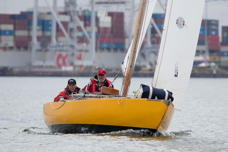 The Victorian team of Jim Hutchinson (Skipper), Ian Johnson and David Helmore aboard Dingo making the most of the light winds photo copyright A.J. McKinnon taken at Royal Yacht Club of Victoria and featuring the Tumlaren class