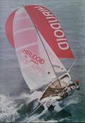 © NSW 12ft Sailing Skiff Association