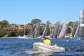 12ft Skiff Upper Harbour Championship © Brett Hobson