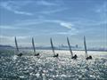 U20s in action on San Francisco Bay © Image courtesy of the Ultimate 20 North American Championship
