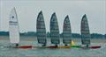 2022 Unicorn Nationals at Hayling Ferry Sailing Club © Peter Newman