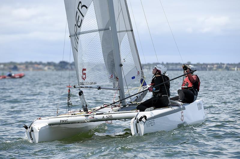 Vipers at Sailing World Cup Melbourne photo copyright Jeff Crow / Sport the Library taken at  and featuring the Viper class