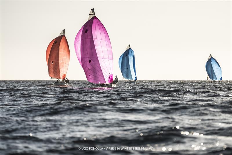 Viper 640 Winter Series Palma Event 1: Trofeo Sant Sebastian photo copyright Ugo Fonolla / Viper 640 Winter Series Palma taken at Real Club Náutico de Palma and featuring the Viper 640 class