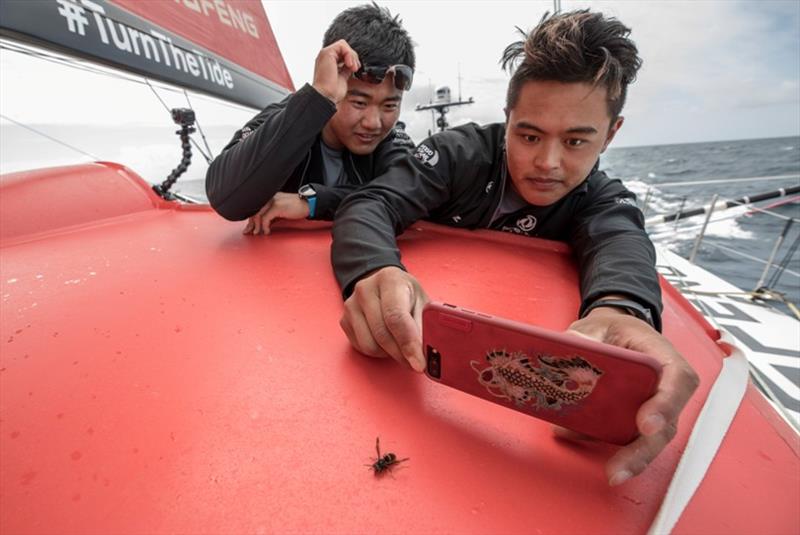 Using the Crew Communicator to send messages to fans photo copyright Jeremie Lecaudey / Volvo Ocean Race taken at  and featuring the Volvo One-Design class