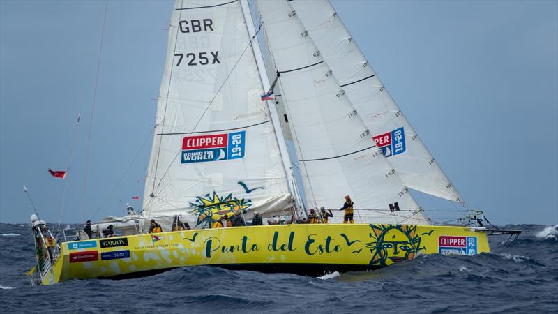 Punta del Este - Clipper 2019-20 Race photo copyright Clipper Race taken at  and featuring the Volvo One-Design class