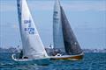 2024 International Paint Poole Regatta Day 1 © Ian Roman / www.ianroman.com
