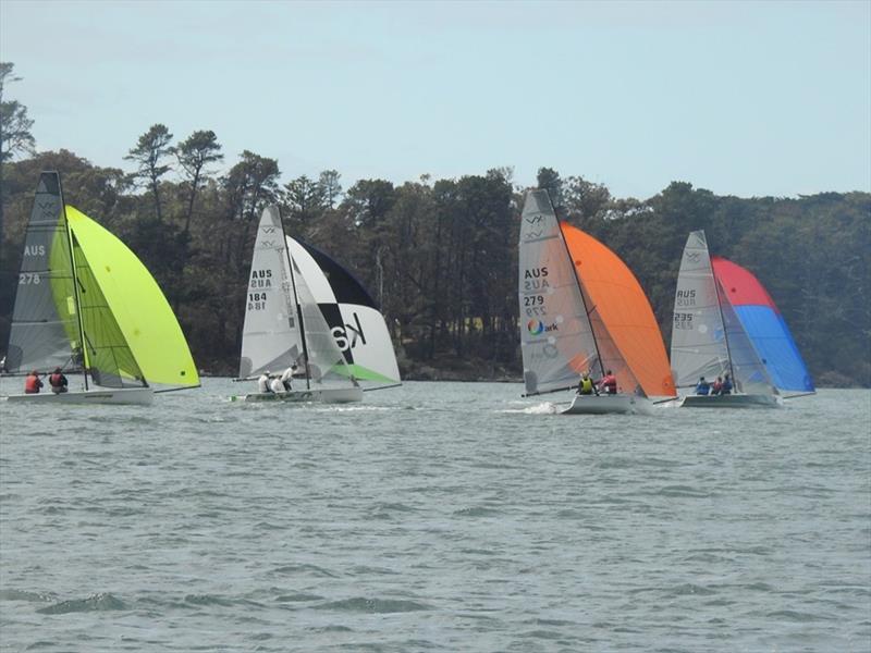 2019 Victorian VX1 Championships photo copyright Peter Harvey taken at Metung Yacht Club and featuring the VX One class