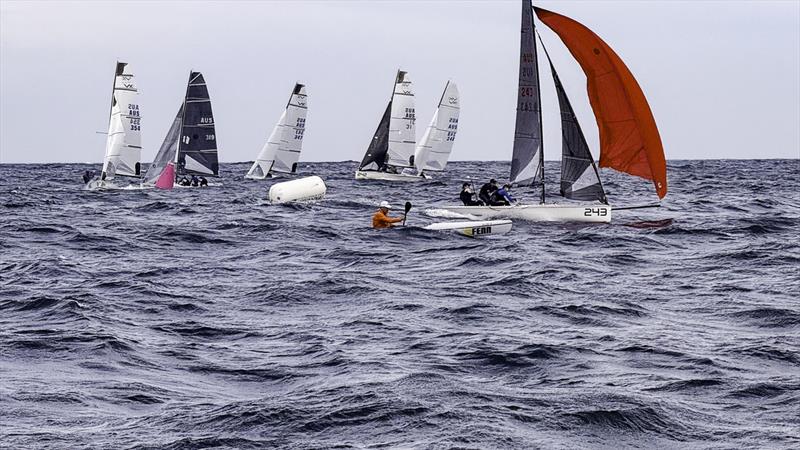 Paddler versus Let's Dance photo copyright Nic Douglass for @sailorgirlHQ taken at Cronulla Sailing Club and featuring the VX One class