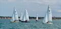Sunday racing during the Wanderer Nationals 2026 at Whitstable