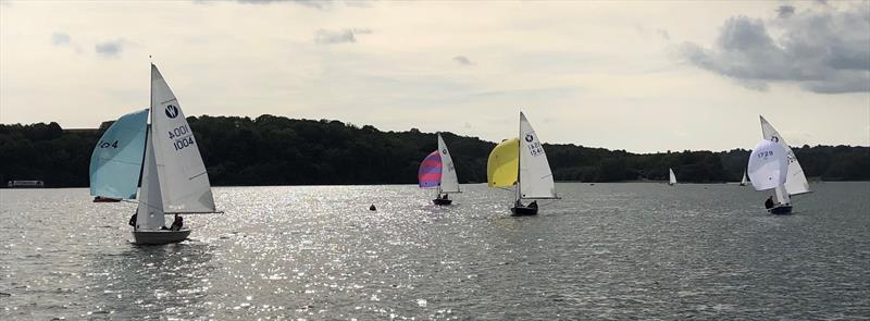 Wanderer Inlands at Bewl photo copyright Mark Munday taken at Bewl Sailing Association and featuring the Wanderer class