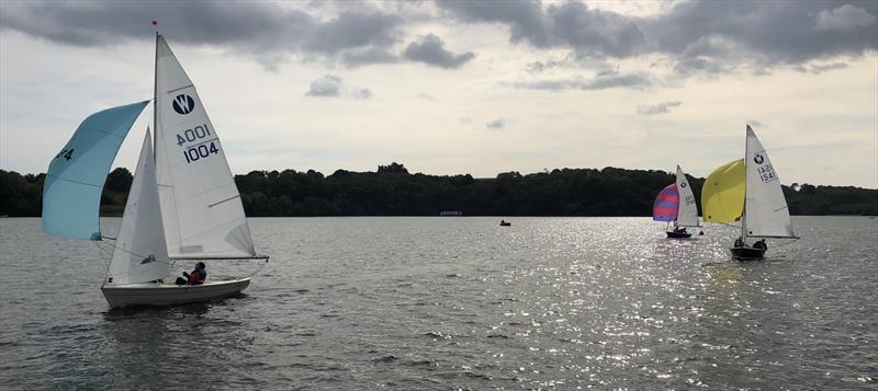 Wanderer Inlands at Bewl photo copyright Mark Munday taken at Bewl Sailing Association and featuring the Wanderer class