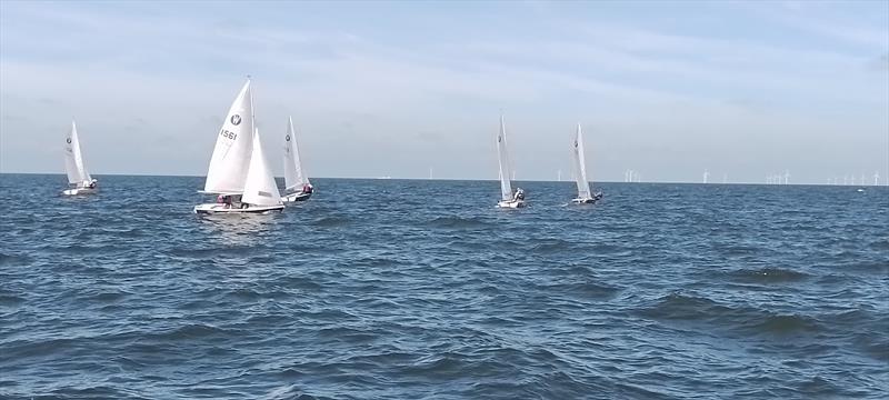 Race 1 from the committee boat during the Wanderer Nationals at Whitstable - photo © P Meadowcroft