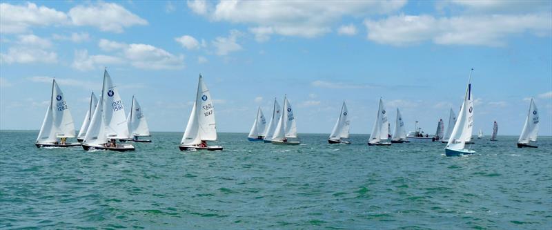 2025 Wanderer Nationals at Whitstable - Start of Race 1 photo copyright Matthew King taken at Whitstable Yacht Club and featuring the Wanderer class