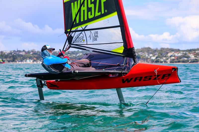 LSD WASZP New Zealand National Championship - March 2019, Murrays Bay Sailing Club - photo ©  Rachel von Zalinski, Live Sail Die