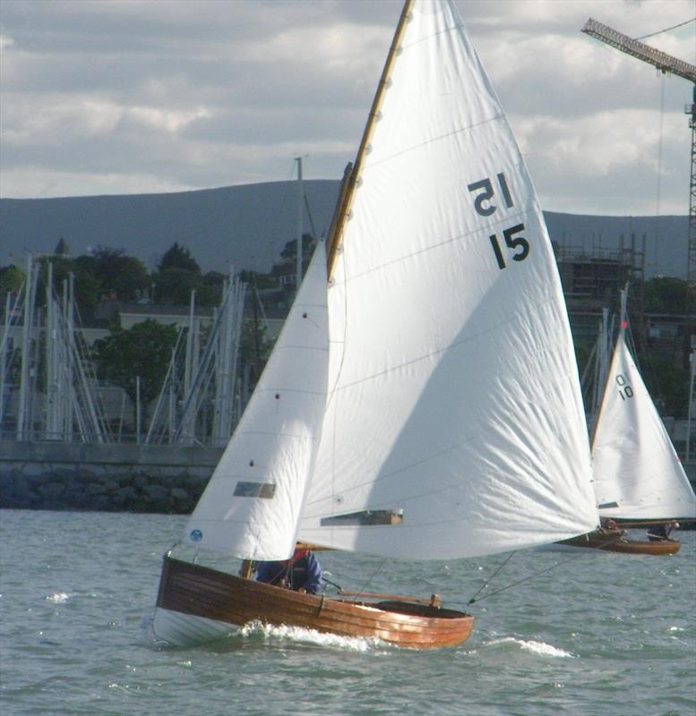 The Royal Irish Yacht Club Regatta 2014 photo copyright Vincent Delany taken at Royal Irish Yacht Club and featuring the Water Wag class