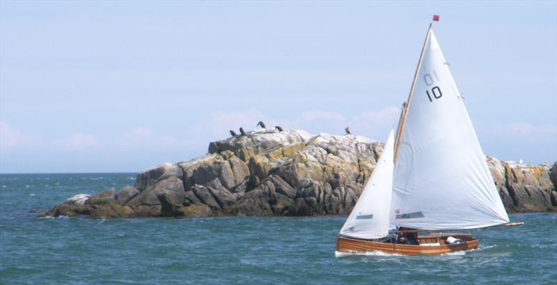 Sprite nosing the tide during the Water Wags Dalkey Island picnic photo copyright Vincent Delany taken at  and featuring the Water Wag class