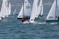 Wayfarer International Championship 2019 © Alan Jones