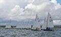 Wayfarer UK National Championships at Medway