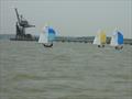 Craftinsure Wayfarer Eastern Championship at Medway © MYC