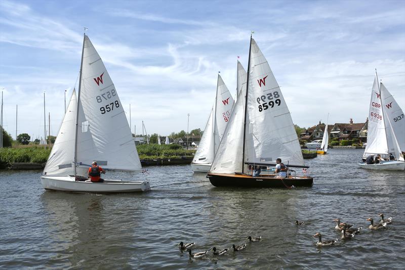Wayfarers during the Three Rivers Race 2019 photo copyright Jane Bowden taken at Horning Sailing Club and featuring the Wayfarer class