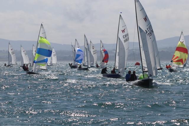 Wayfarer International Championship 2019 - photo © Alan Jones