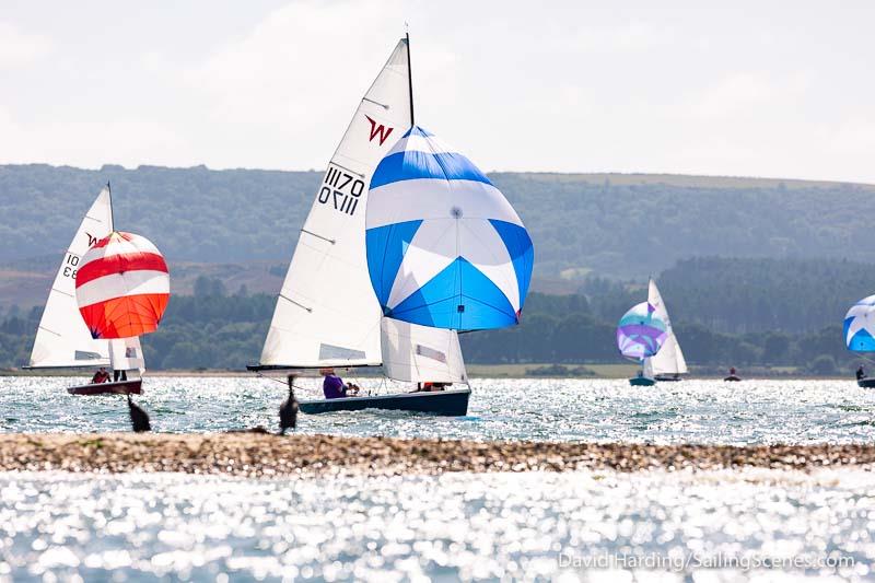 Bournemouth Digital Poole Week 2019 day 4 photo copyright David Harding / www.sailingscenes.com taken at Parkstone Yacht Club and featuring the Wayfarer class
